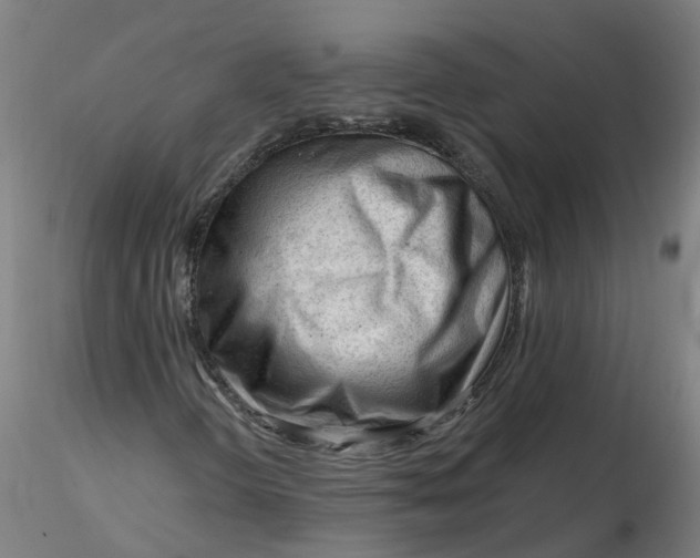 X0000116341298200912221432