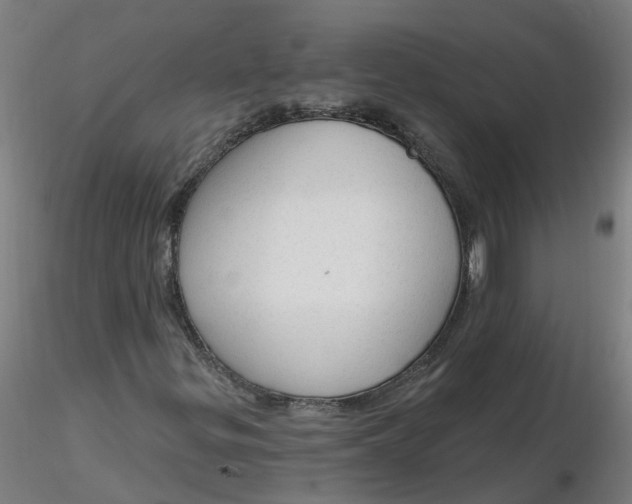 X0000116341299200912221432