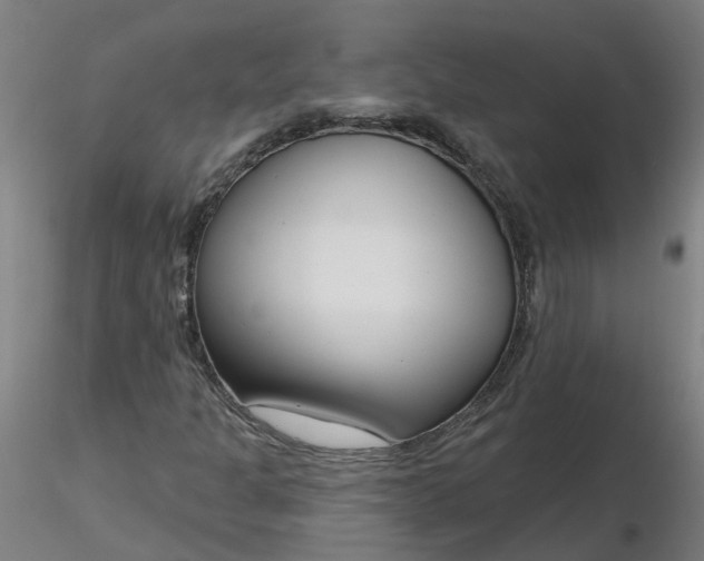 X0000116341301200912221432