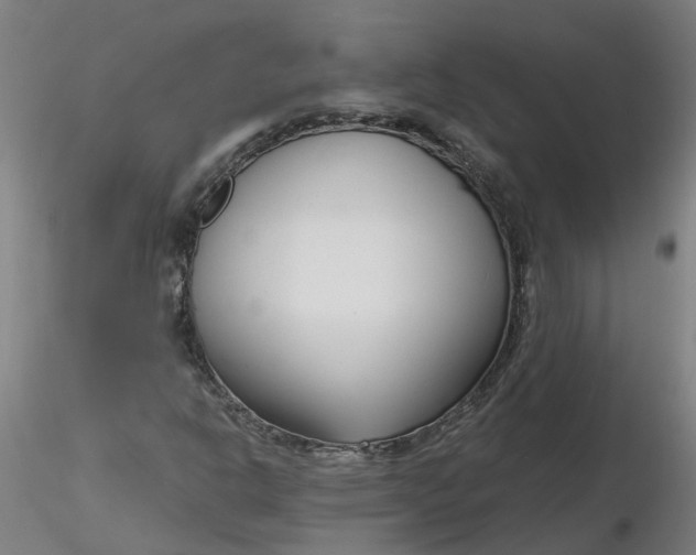 X0000116341302200912221432