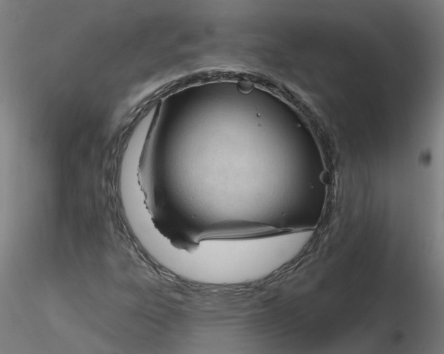 X0000116341303200912221432