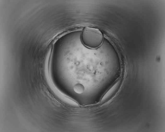 X0000116341305200912221432