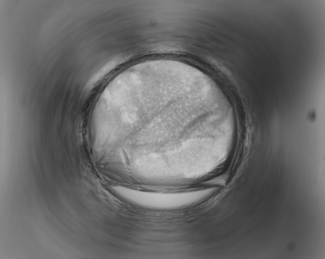 X0000116341306200912221432