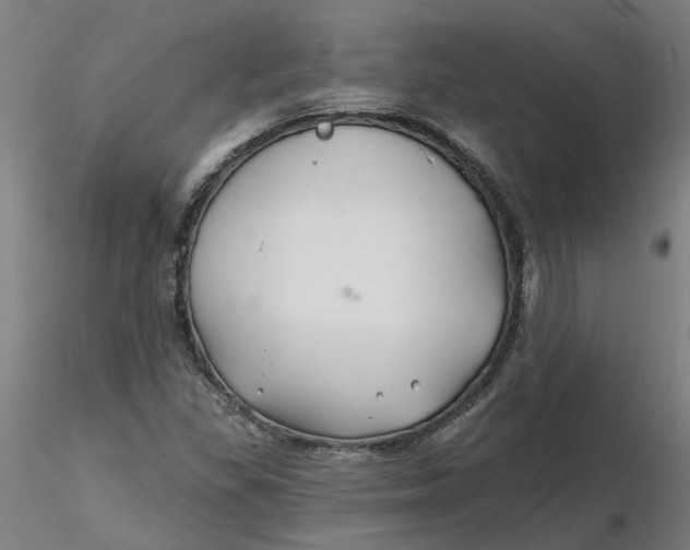 X0000116341309200912221432