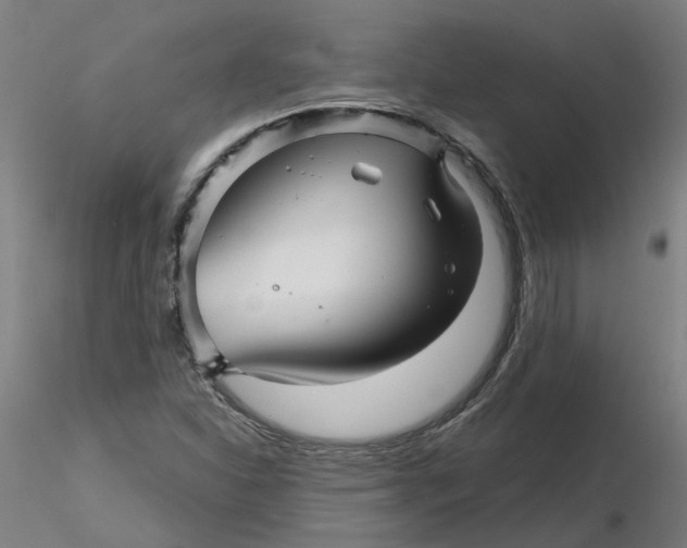 X0000116341310200912221432