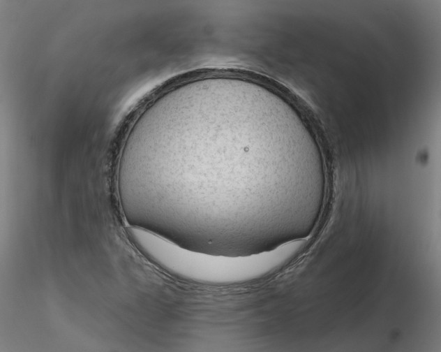 X0000116341311200912221432