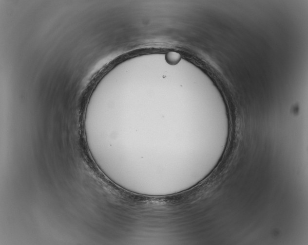 X0000116341315200912221433