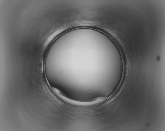 X0000116341317200912221433