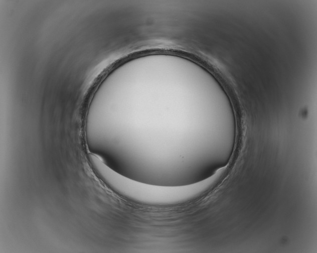 X0000116341318200912221433