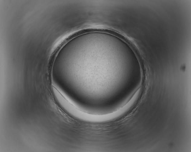 X0000116341319200912221433