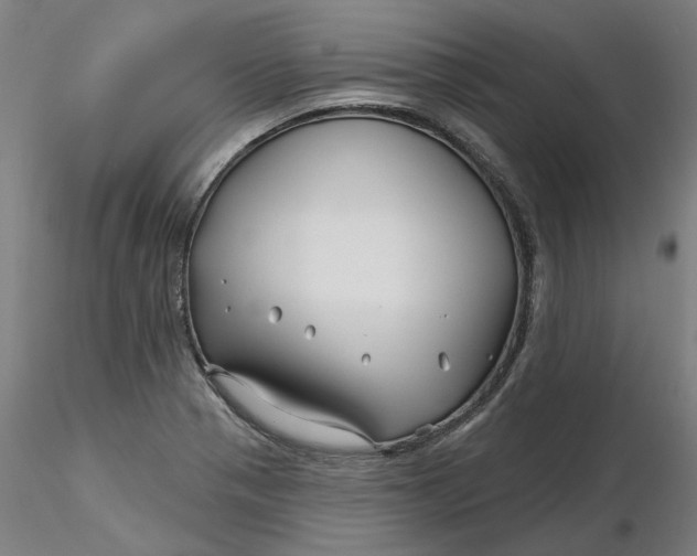 X0000116341321200912221433