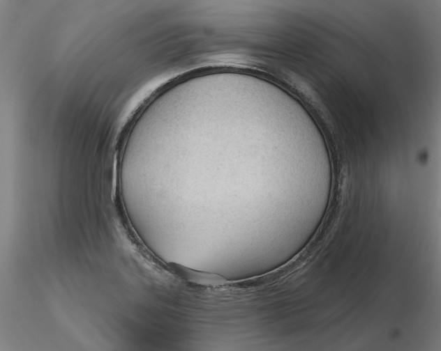 X0000116341323200912221433