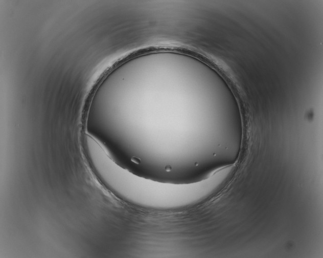 X0000116341327200912221433