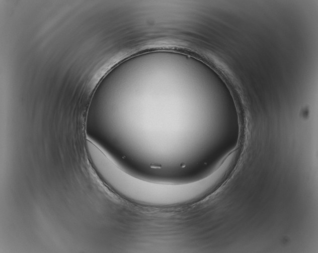 X0000116341329200912221433