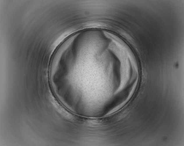 X0000116341330200912221433