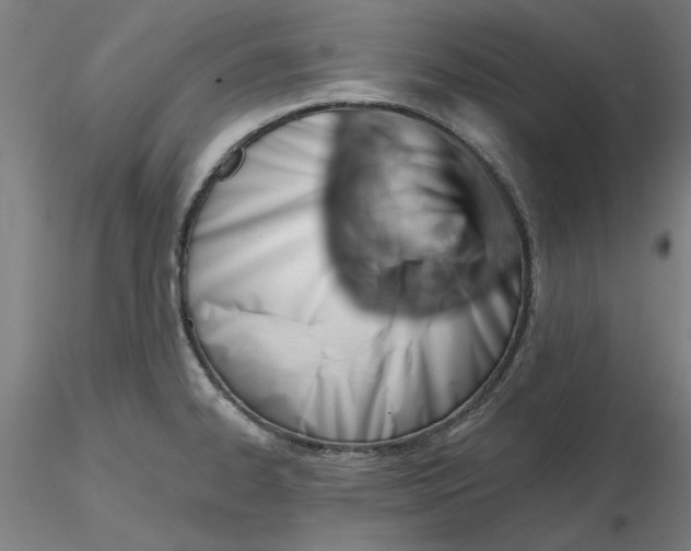 X0000116341334200912221433