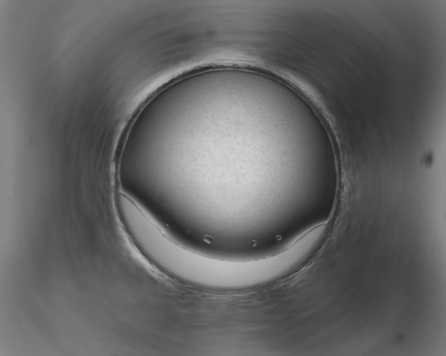 X0000116341335200912221433