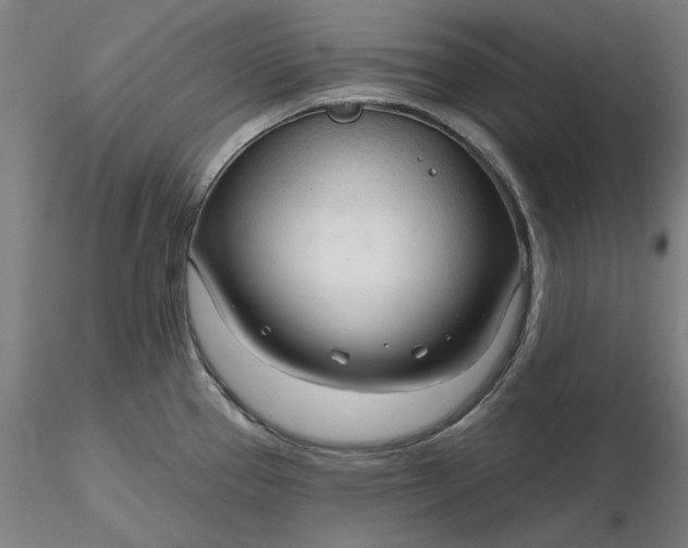 X0000116341337200912221433