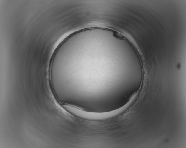 X0000116341339200912221433