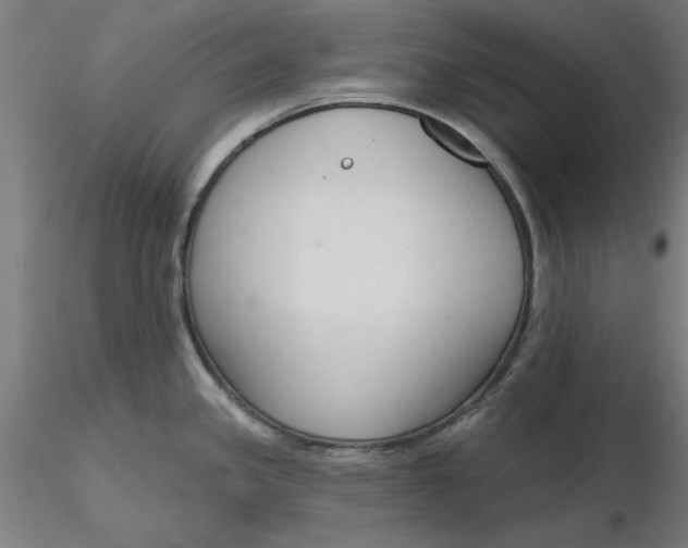 X0000116341341200912221433