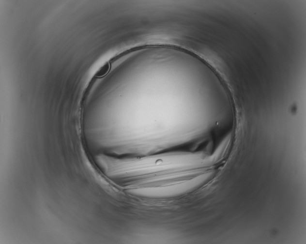 X0000116341342200912221433