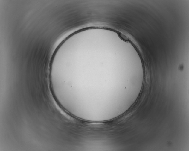 X0000116341343200912221433