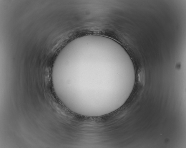 X0000116341347200912221432