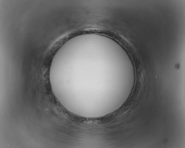 X0000116341351200912221432