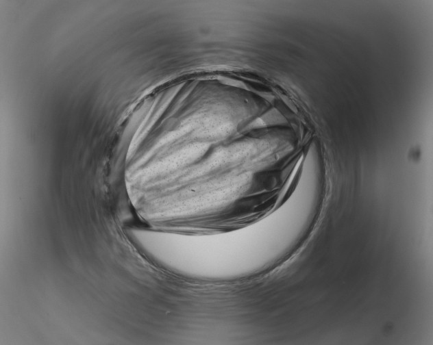 X0000116341353200912221432