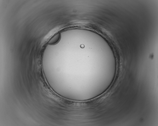 X0000116341354200912221432