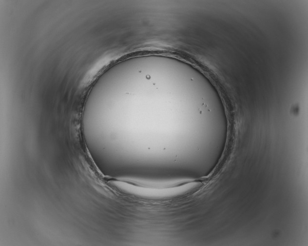 X0000116341355200912221432