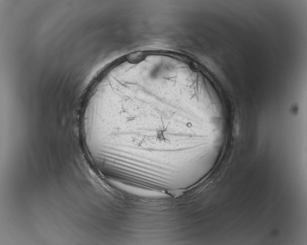 X0000116341356200912221432