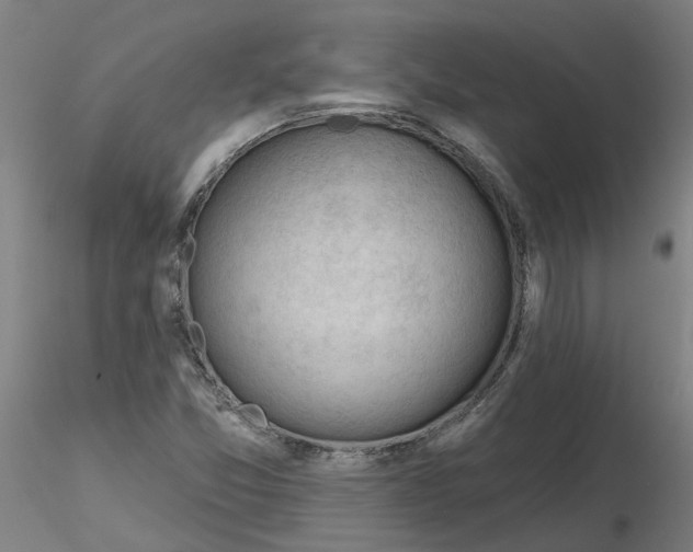 X0000116341357200912221432