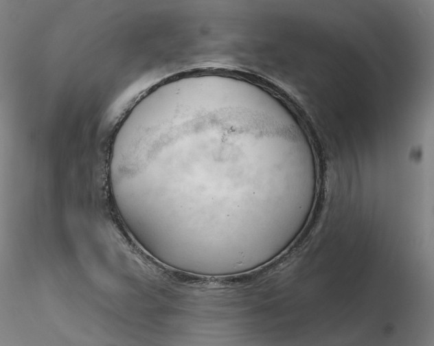 X0000116341359200912221432