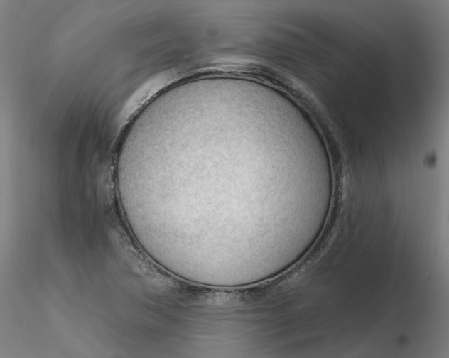 X0000116341362200912221432