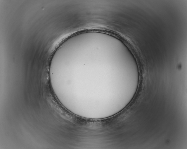 X0000116341363200912221432