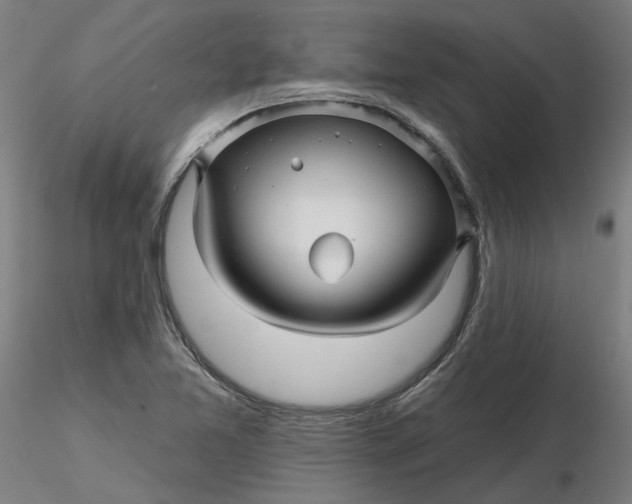 X0000116341365200912221432