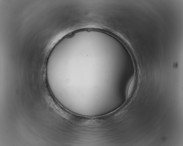 X0000116341367200912221432