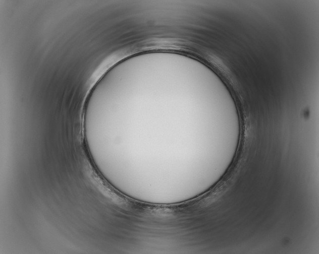 X0000116341370200912221432