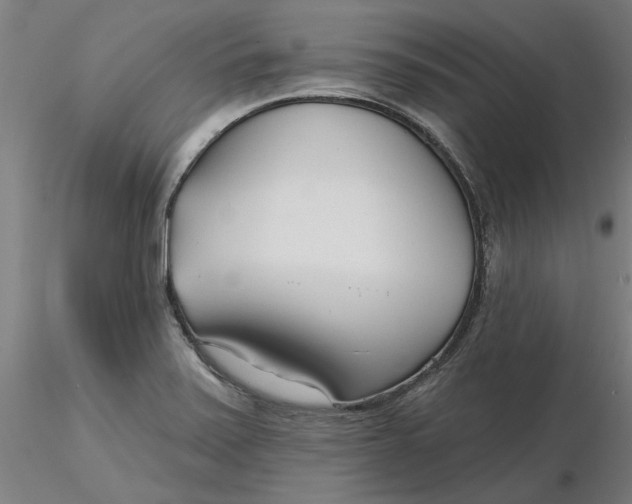 X0000116341371200912221432