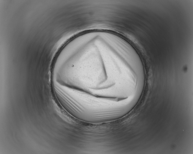 X0000116341372200912221432