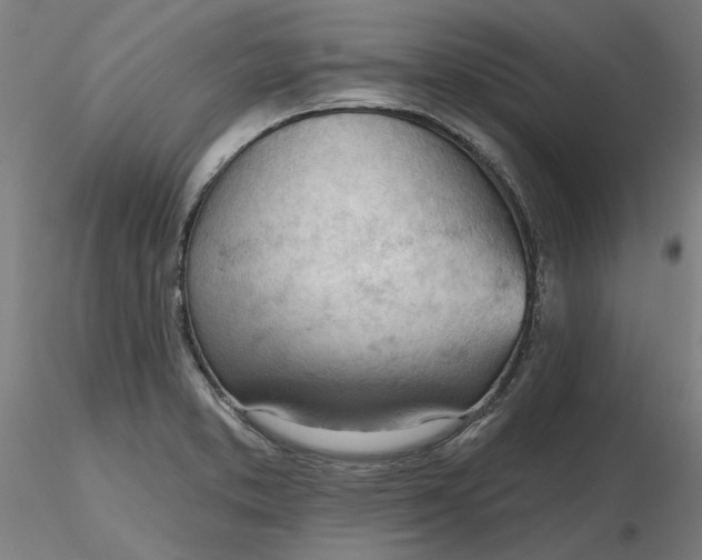 X0000116341373200912221432