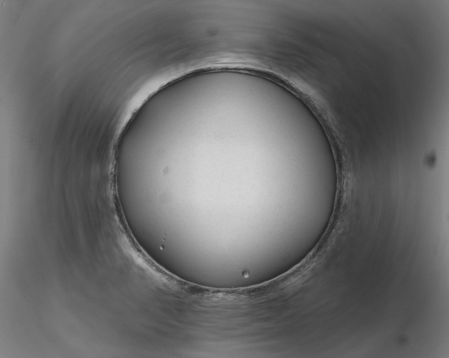 X0000116341374200912221432