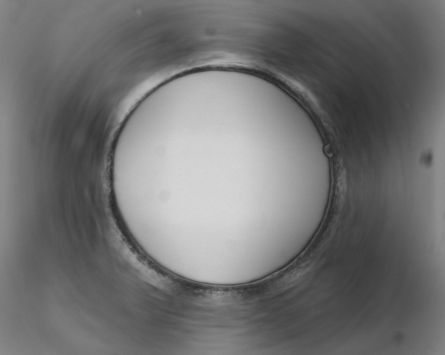 X0000116341375200912221432