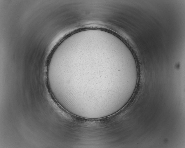 X0000116341376200912221432