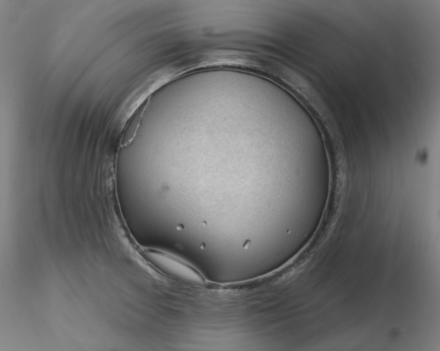 X0000116341377200912221432