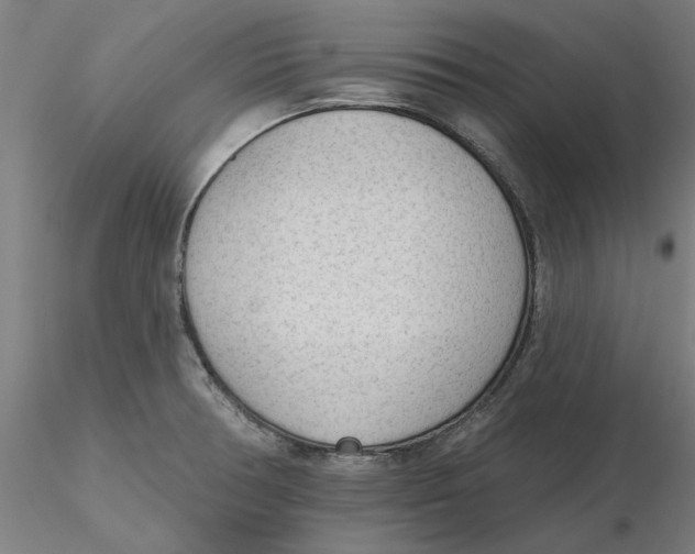 X0000116341378200912221432