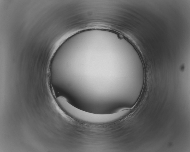 X0000116341379200912221432