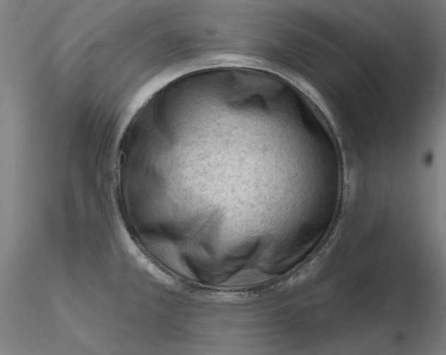 X0000116341381200912221432