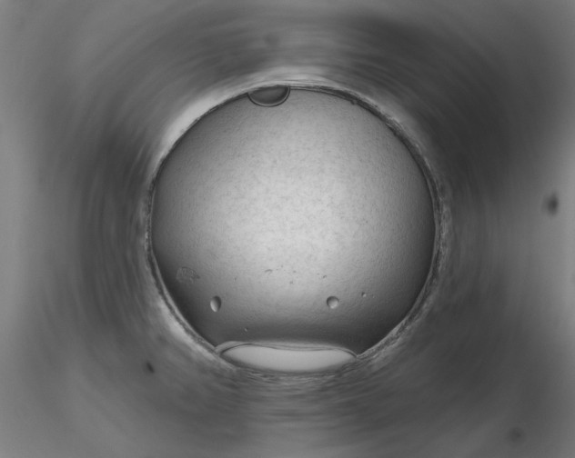 X0000116341382200912221432